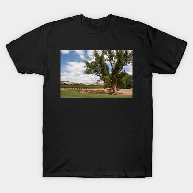 Barossa Valley Landscape T-Shirt by jwwallace